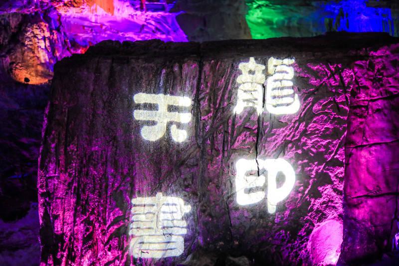 动物帮帮忙保卫家园