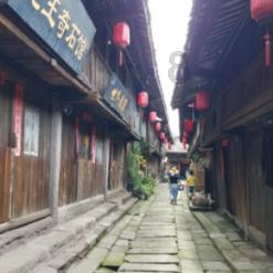 拯救精灵的土地10